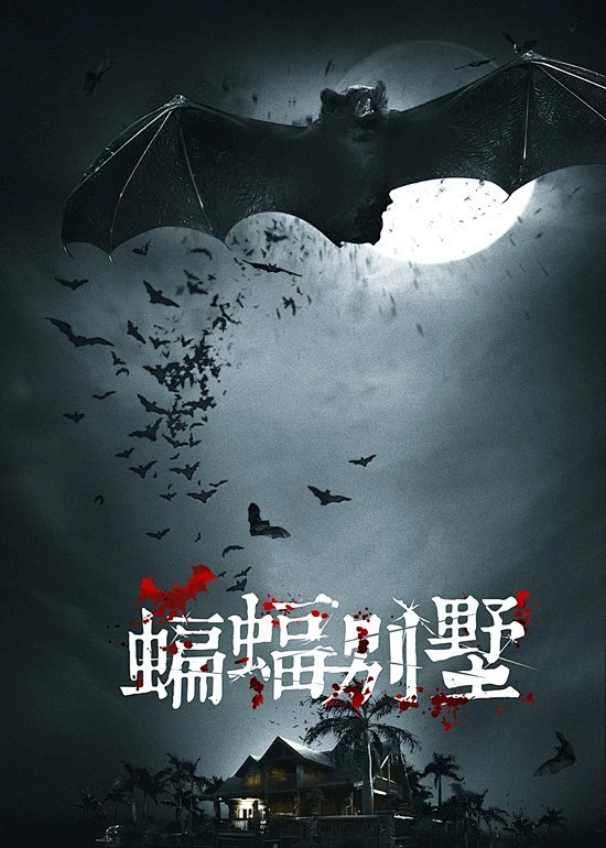 限定视角口碑新片